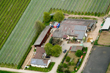Lindenhof in Steinweiler in the state Rhineland-Palatinate, Germany from above
