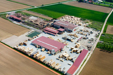 Aerial view of KOCHER Sawmill and Palletizing Plant Site in Niederrœdern in the state Bas-Rhin, France