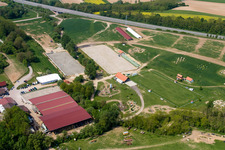 Haras de la Neée in Neewiller-près-Lauterbourg in the state Bas-Rhin, France from the plane