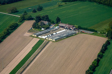 Aerial view of Bösherz Hof in the district Neulauterburg in Berg in the state Rhineland-Palatinate, Germany
