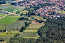 Erlenbachtal in Hatzenbühl in the state Rhineland-Palatinate, Germany