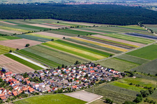 Musicians' Quarter in Hatzenbühl in the state Rhineland-Palatinate, Germany