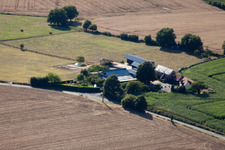 La Petite Franchaise (Apiculteur) in Coudrecieux in the state Sarthe, France
