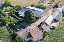 La Petite Franchaise (Apiculteur) in Coudrecieux in the state Sarthe, France from above