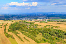 Gemeindeberg Grünstadt Am Eichenwäldchen in the district Sausenheim in Grünstadt in the state Rhineland-Palatinate, Germany
