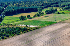 Meadows at Erlenbach in Hatzenbühl in the state Rhineland-Palatinate, Germany