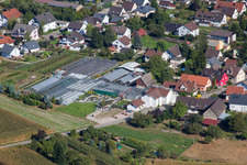 Glass roof surfaces in the greenhouse rows for Floriculture in the district Bodersweier in Kehl in the state Baden-Wurttemberg