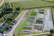 Garden Times Black in the district Bodersweier in Kehl in the state Baden-Wuerttemberg, Germany seen from above