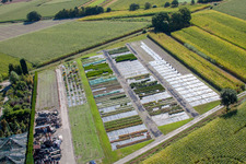 Drone recording of Garden Times Black in the district Bodersweier in Kehl in the state Baden-Wuerttemberg, Germany