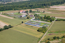 Drone image of Garden Times Black in the district Bodersweier in Kehl in the state Baden-Wuerttemberg, Germany