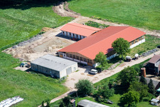 Aerial view of Horse farm in the district Minderslachen in Kandel in the state Rhineland-Palatinate, Germany