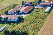 Schossberghof from the north in Minfeld in the state Rhineland-Palatinate, Germany