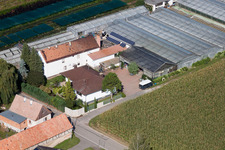 Nursery in Vollmersweiler in the state Rhineland-Palatinate, Germany from the plane