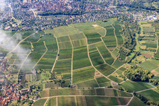 Sonnenberg vineyard in France in the district Schweigen in Schweigen-Rechtenbach in the state Rhineland-Palatinate, Germany