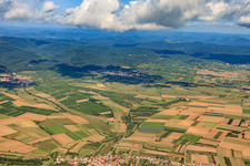 Fields from Schweighofen to Oberotterbach in Oberotterbach in the state Rhineland-Palatinate, Germany