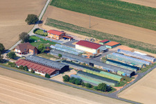 Holiday apartment Markus Fischer in Hördt in the state Rhineland-Palatinate, Germany