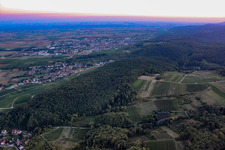 Bird's eye view of Haardtrand Wolfsteig in Pleisweiler-Oberhofen in the state Rhineland-Palatinate, Germany