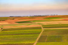 Aerial view of Wind farm from the south in Eppelsheim in the state Rhineland-Palatinate, Germany