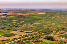 Vineyard in the Modeläckern and at the oil field in Hangen-Weisheim in the state Rhineland-Palatinate, Germany