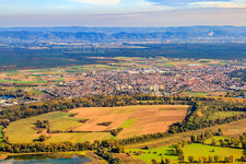 Bodensand nature reserve in the middle of the Lampertheim Old Rhine in Lampertheim in the state Hesse, Germany