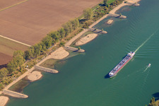 Groynes at low water on the Rhine in Lampertheim in the state Hesse, Germany