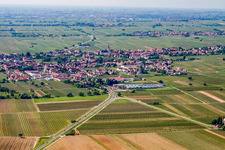 Place in the vineyards of the north in Edesheim in the state Rhineland-Palatinate, Germany
