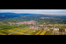 Panoramic perspective Village - view on the edge of wne yards and fields and farmland in Kallstadt in the state Rhineland-Palatinate, Germany
