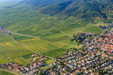 Forster Pechstein vineyard in Forst an der Weinstraße in the state Rhineland-Palatinate, Germany