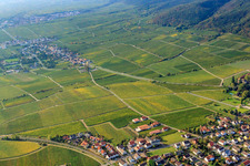 Aerial view of Forster Pechstein vineyard in Forst an der Weinstraße in the state Rhineland-Palatinate, Germany