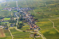 Wine-growing village from the north in Forst an der Weinstraße in the state Rhineland-Palatinate, Germany