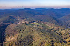 Odinstal, the highest winery in the Palatinate in Wachenheim an der Weinstraße in the state Rhineland-Palatinate, Germany