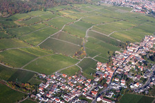 Aerial view of Jesuitenmandel vineyard in Forst an der Weinstraße in the state Rhineland-Palatinate, Germany