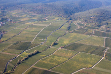 Deidesheimer Maushöhle and Hohenmorgen vineyards under the Michaelskapelle in Deidesheim in the state Rhineland-Palatinate, Germany