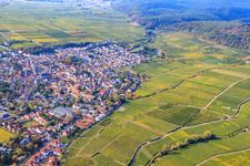 Wine-growing town from the north in Deidesheim in the state Rhineland-Palatinate, Germany
