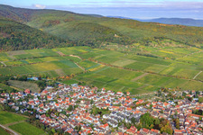 Deidesheimer Maushöhle and Hohenmorgen vineyards in Deidesheim in the state Rhineland-Palatinate, Germany