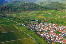 Aerial view of Deidesheimer Paradiesgarten vineyard in Deidesheim in the state Rhineland-Palatinate, Germany