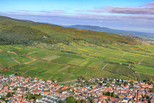 Aerial view of Deidesheimer Maushöhle and Hohenmorgen vineyards in Deidesheim in the state Rhineland-Palatinate, Germany