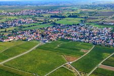Wine-growing village from the southwest in Ruppertsberg in the state Rhineland-Palatinate, Germany
