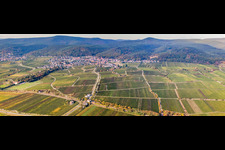 Panorama from the east in the district Königsbach in Neustadt an der Weinstraße in the state Rhineland-Palatinate, Germany