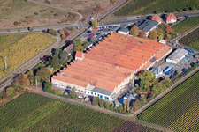 Metalworks in the district Mußbach in Neustadt an der Weinstraße in the state Rhineland-Palatinate, Germany