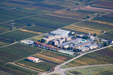 Aerial photograpy of RLP Agroscience in the district Mußbach in Neustadt an der Weinstraße in the state Rhineland-Palatinate, Germany