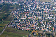 Maconring in Neustadt an der Weinstraße in the state Rhineland-Palatinate, Germany