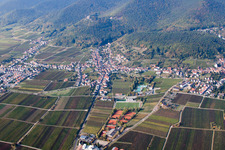 Fields of wine cultivation landscape in the district Hambach in Neustadt an der Weinstrasse in the state Rhineland-Palatinate