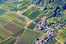 Andergasse in the district Diedesfeld in Neustadt an der Weinstraße in the state Rhineland-Palatinate, Germany