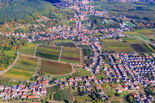 At the Cherry Orchard in the district Hambach an der Weinstraße in Neustadt an der Weinstraße in the state Rhineland-Palatinate, Germany