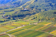 Aerial view of Monastery road between vineyards in Edenkoben in the state Rhineland-Palatinate, Germany