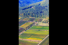 Victory and Peace Monument in Edenkoben in the state Rhineland-Palatinate, Germany out of the air