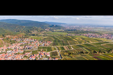 Village - view on the edge of the rhine valley and wineyards in Sankt Martin in the state Rhineland-Palatinate, Germany