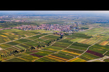 City view from the northwest on the edge of vineyards in Maikammer in the state Rhineland-Palatinate, Germany