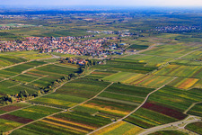 City view from the southwest on the edge of vineyards in Maikammer in the state Rhineland-Palatinate, Germany
